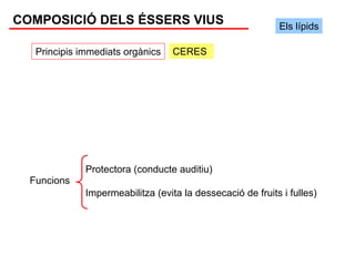 COMPOSICIÓ DELS ÉSSERS VIUS                                 Els lípids

   Principis immediats orgànics    CERES




              Protectora (conducte auditiu)
  Funcions
              Impermeabilitza (evita la dessecació de fruits i fulles)
 