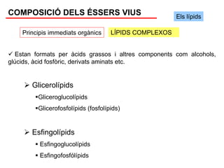 COMPOSICIÓ DELS ÉSSERS VIUS                             Els lípids

    Principis immediats orgànics     LÍPIDS COMPLEXOS


   Estan formats per àcids grassos i altres components com alcohols,
glúcids, àcid fosfòric, derivats aminats etc.


       Glicerolípids
         Gliceroglucolípids
         Glicerofosfolípids (fosfolípids)


       Esfingolípids
          Esfingoglucolípids
          Esfingofosfólípids
 