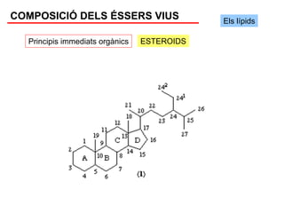 COMPOSICIÓ DELS ÉSSERS VIUS                  Els lípids

  Principis immediats orgànics   ESTEROIDS
 