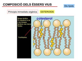 COMPOSICIÓ DELS ÉSSERS VIUS                  Els lípids

  Principis immediats orgànics   ESTEROIDS
 