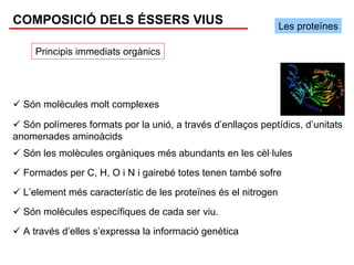 COMPOSICIÓ DELS ÉSSERS VIUS                                     Les proteïnes

     Principis immediats orgànics




  Són molècules molt complexes

  Són polímeres formats por la unió, a través d’enllaços peptídics, d’unitats
anomenades aminoàcids
  Són les molècules orgàniques més abundants en les cèl·lules
  Formades per C, H, O i N i gairebé totes tenen també sofre
  L’element més característic de les proteïnes és el nitrogen
  Són molècules específiques de cada ser viu.
  A través d’elles s’expressa la informació genètica
 