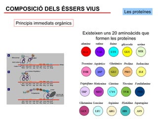 COMPOSICIÓ DELS ÉSSERS VIUS                          Les proteïnes

  Principis immediats orgànics

                                 Existeixen uns 20 aminoàcids que
                                        formen les proteïnes
 
