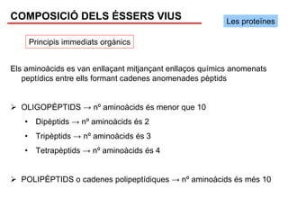 COMPOSICIÓ DELS ÉSSERS VIUS                               Les proteïnes

       Principis immediats orgànics


Els aminoàcids es van enllaçant mitjançant enllaços químics anomenats
   peptídics entre ells formant cadenes anomenades pèptids


  OLIGOPÈPTIDS → nº aminoàcids és menor que 10
   •    Dipèptids → nº aminoàcids és 2
   •    Tripèptids → nº aminoàcids és 3
   •    Tetrapèptids → nº aminoàcids és 4


  POLIPÈPTIDS o cadenes polipeptídiques → nº aminoàcids és més 10
 