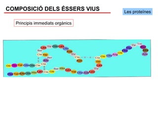 COMPOSICIÓ DELS ÉSSERS VIUS      Les proteïnes

  Principis immediats orgànics
 