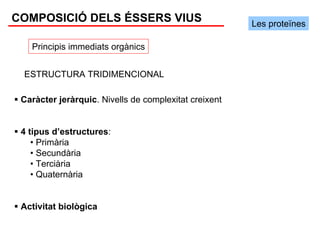 COMPOSICIÓ DELS ÉSSERS VIUS                            Les proteïnes

   Principis immediats orgànics


 ESTRUCTURA TRIDIMENCIONAL

 Caràcter jeràrquic. Nivells de complexitat creixent


 4 tipus d’estructures:
    • Primària
    • Secundària
    • Terciària
    • Quaternària


 Activitat biològica
 
