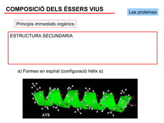COMPOSICIÓ DELS ÉSSERS VIUS                      Les proteïnes

   Principis immediats orgànics

 ESTRUCTURA SECUNDARIA




   a) Formes en espiral (configuració hèlix α)
 