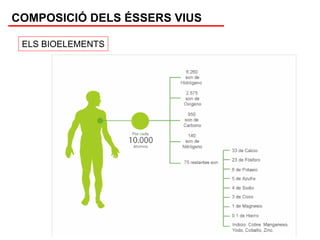 COMPOSICIÓ DELS ÉSSERS VIUS

 ELS BIOELEMENTS
 