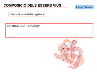 COMPOSICIÓ DELS ÉSSERS VIUS      Les proteïnes

  Principis immediats orgànics



 ESTRUCTURA TERCIÀRIA
 