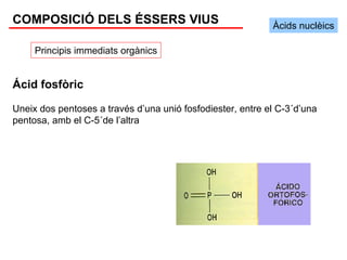 COMPOSICIÓ DELS ÉSSERS VIUS                                 Àcids nuclèics

     Principis immediats orgànics


Ácid fosfòric

Uneix dos pentoses a través d’una unió fosfodiester, entre el C-3´d’una
pentosa, amb el C-5´de l’altra
 