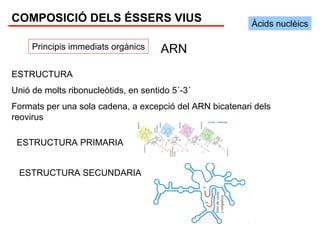 COMPOSICIÓ DELS ÉSSERS VIUS                               Àcids nuclèics

     Principis immediats orgànics     ARN
ESTRUCTURA
Unió de molts ribonucleòtids, en sentido 5´-3´
Formats per una sola cadena, a excepció del ARN bicatenari dels
reovirus

 ESTRUCTURA PRIMARIA


 ESTRUCTURA SECUNDARIA
 
