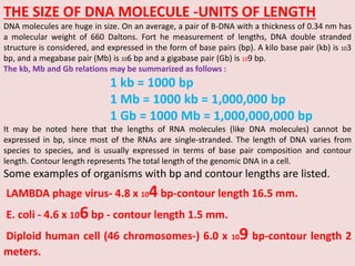 1 BIOMOLECULES.pptx