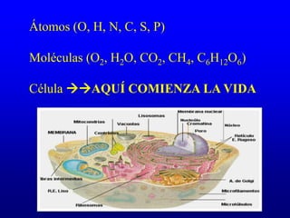 Átomos (O, H, N, C, S, P)
Moléculas (O2, H2O, CO2, CH4, C6H12O6)
Célula AQUÍ COMIENZA LA VIDA
 