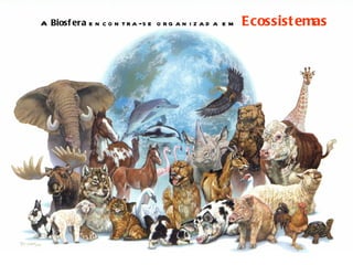 A Biosf era e n c o n t r a -s e o r g a n i z a d a e m   Ecossist emas
 