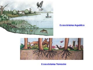 E cos s is tema A quático




E cos s is tema Terres tre
 