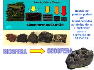 Rest os de
 plant as podem
        ser
t ransf ormados
ao abrigo do ar
   e cont ribuir
      para a
  f ormação de
    CA RVÕES !
 