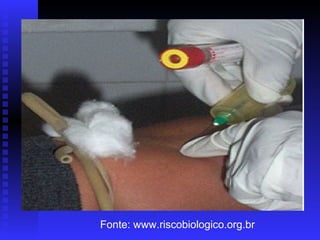 Fonte: www.riscobiologico.org.br

 