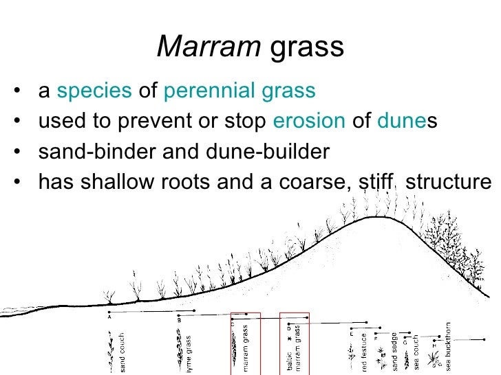Chapter 21 Ecology Lesson 1 Biotic and abiotic factors