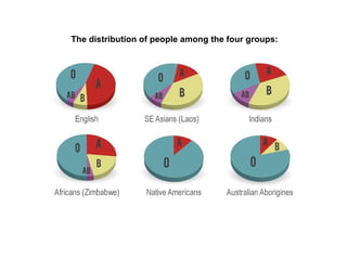 The distribution of people among the four groups:
 
