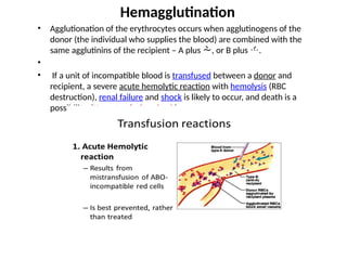 • Agglutionation of the erythrocytes occurs when agglutinogens of the
donor (the individual who supplies the blood) are combined with the
same agglutinins of the recipient – A plus , or B plus .
•
• If a unit of incompatible blood is transfused between a donor and
recipient, a severe acute hemolytic reaction with hemolysis (RBC
destruction), renal failure and shock is likely to occur, and death is a
possibility. (Hemotrasfusion shock)
Hemagglutination
 