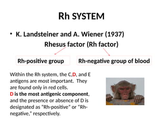 Rh SYSTEM
• K. Landsteiner and A. Wiener (1937)
Rhesus factor (Rh factor)
Rh-positive group Rh-negative group of blood
Within the Rh system, the C,D, and E
antigens are most important. They
are found only in red cells.
D is the most antigenic component,
and the presence or absence of D is
designated as “Rh-positive” or “Rh-
negative,” respectively.
 