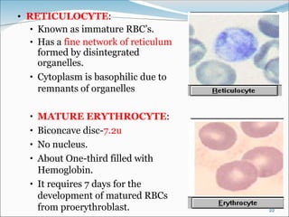 blood presentation seminar showing blood and its various aspects | PPT