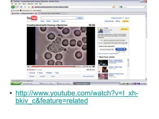 • http://www.youtube.com/watch?v=I_xh-
bkiv_c&feature=related
 