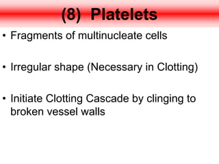 (8) Platelets
• Fragments of multinucleate cells
• Irregular shape (Necessary in Clotting)
• Initiate Clotting Cascade by clinging to
broken vessel walls
 