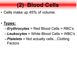(2) Blood Cells
• Cells make up 45% of volume.
• Types:
–Erythrocytes = Red Blood Cells = RBC’s
–Leukocytes = White Blood Cells = WBC’s
–Platelets = Not actually cells…Clotting
Factors
 