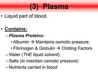 (3) Plasma
• Liquid part of blood.
• Contains:
–Plasma Proteins:
• Albumin  Maintains osmotic pressure.
• Fibrinogen & Globulin  Clotting Factors
–Water (THE liquid solvent)
–Salts (to maintain osmotic pressure)
–Nutrients carried in blood
 