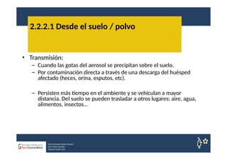 • Transmisión:
– Cuando las gotas del aerosol se precipitan sobre el suelo.
– Por contaminación directa a través de una descarga del huésped
afectado (heces, orina, esputos, etc).
– Persisten más tiempo en el ambiente y se vehiculan a mayor
distancia. Del suelo se pueden trasladar a otros lugares: aire, agua,
alimentos, insectos...
2.2.2.1 Desde el suelo / polvo
Nuria Sempere Rubio (Coord.)
Sara Cortes Amador
Raquel Faubel Cava
 