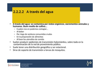 • A través del agua: se contamina por restos orgánicos, excrementos animales y
humanos. Buen medio de cultivo...
– Cuadon nos en podemos contagiar…
– Al beber
– Por riego de verduras consumidas crudas
– En la preparación de alimentos
– Al lavar los utensilios de comida
• Suelen producir epidemies de transmisión holomiántica, sobre todo en la
contaminación de la red de proveimiento público.
• Suele tener una distribución geográfica y ser estacional.
• Sirve de soporte de transmisión a larvas de mosquitos.
2.2.2.2 A través del agua
Nuria Sempere Rubio (Coord.)
Sara Cortes Amador
Raquel Faubel Cava
 