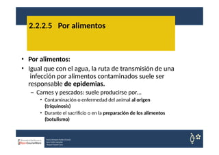 • Por alimentos:
• Igual que con el agua, la ruta de transmisión de una
infección por alimentos contaminados suele ser
responsable de epidemias.
– Carnes y pescados: suele producirse por…
• Contaminación o enfermedad del animal al origen
(triquinosis)
• Durante el sacrificio o en la preparación de los alimentos
(botulismo)
2.2.2.5 Por alimentos
Nuria Sempere Rubio (Coord.)
Sara Cortes Amador
Raquel Faubel Cava
 