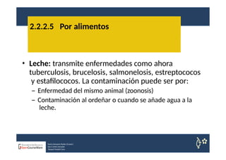 • Leche: transmite enfermedades como ahora
tuberculosis, brucelosis, salmonelosis, estreptococos
y estafilococos. La contaminación puede ser por:
– Enfermedad del mismo animal (zoonosis)
– Contaminación al ordeñar o cuando se añade agua a la
leche.
2.2.2.5 Por alimentos
Nuria Sempere Rubio (Coord.)
Sara Cortes Amador
Raquel Faubel Cava
 
