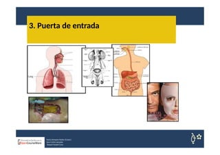 3. Puerta de entrada
Nuria Sempere Rubio (Coord.)
Sara Cortes Amador
Raquel Faubel Cava
 