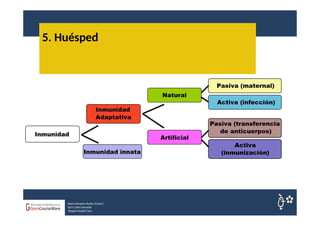 5. Huésped
Nuria Sempere Rubio (Coord.)
Sara Cortes Amador
Raquel Faubel Cava
 