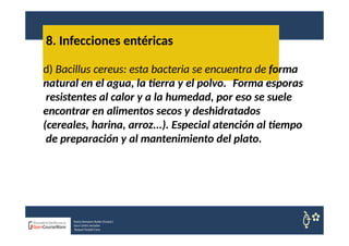 8. Infecciones entéricas
Nuria Sempere Rubio (Coord.)
Sara Cortes Amador
Raquel Faubel Cava
d) Bacillus cereus: esta bacteria se encuentra de forma
natural en el agua, la tierra y el polvo. Forma esporas
resistentes al calor y a la humedad, por eso se suele
encontrar en alimentos secos y deshidratados
(cereales, harina, arroz...). Especial atención al tiempo
de preparación y al mantenimiento del plato.
 