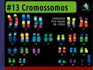 #13 Cromossomos
13/05/2015
Prof. Kyoshi
1B - CESJ
Imagem:imgkid.com
 
