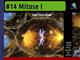 #14 Mitose I
19/05
2015
Prof.
Kyoshi
1B -
CESJ
Imagem:www.lauralynngonzalez.com
 