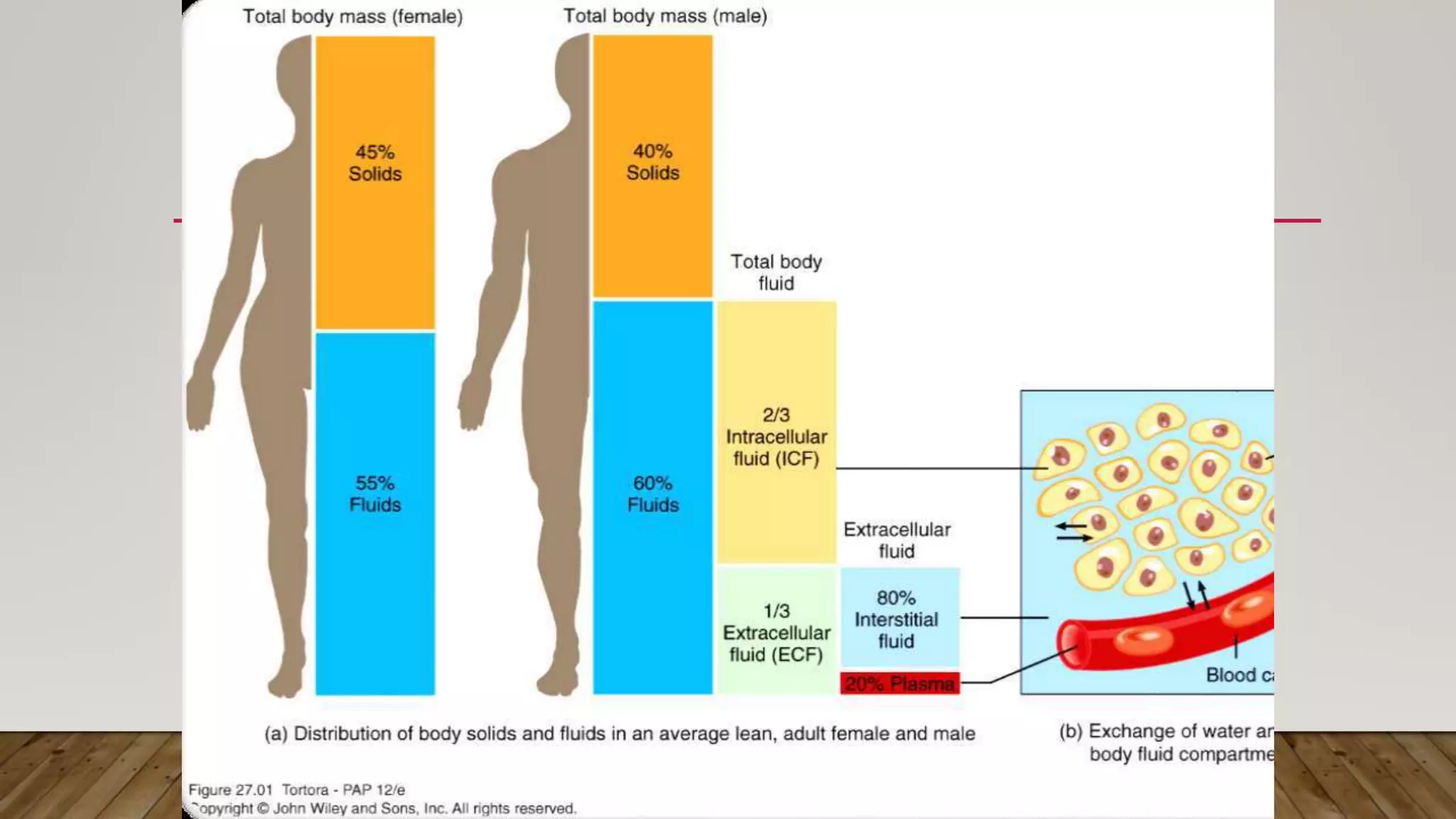 1 BODY FLUIDS.pptx