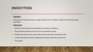 ENDOCYTOSIS
• Definition:
• Transport of macromolecules or large particles from outside to inside cell “through vesicle
formation”
• Mechanism:
• - Portion of cell membrane invaginate to envelop a substance.
• - The membrane pinches off to form an intracellular vesicle.
• - Vesicle fuse with primary lysosomes forming secondary lysosomes that
• contain hydrolytic enzymes digesting the macromolecules contents of
• the vesicle.
 