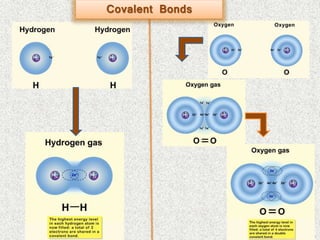 Covalent Bonds
 
