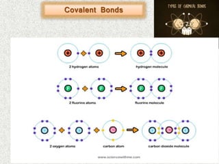 Covalent Bonds
 