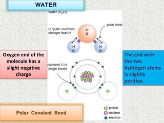 WATER
Polar Covalent Bond
Oxygen end of the
molecule has a
slight negative
charge
The end with
the two
hydrogen atoms
is slightly
positive.
 