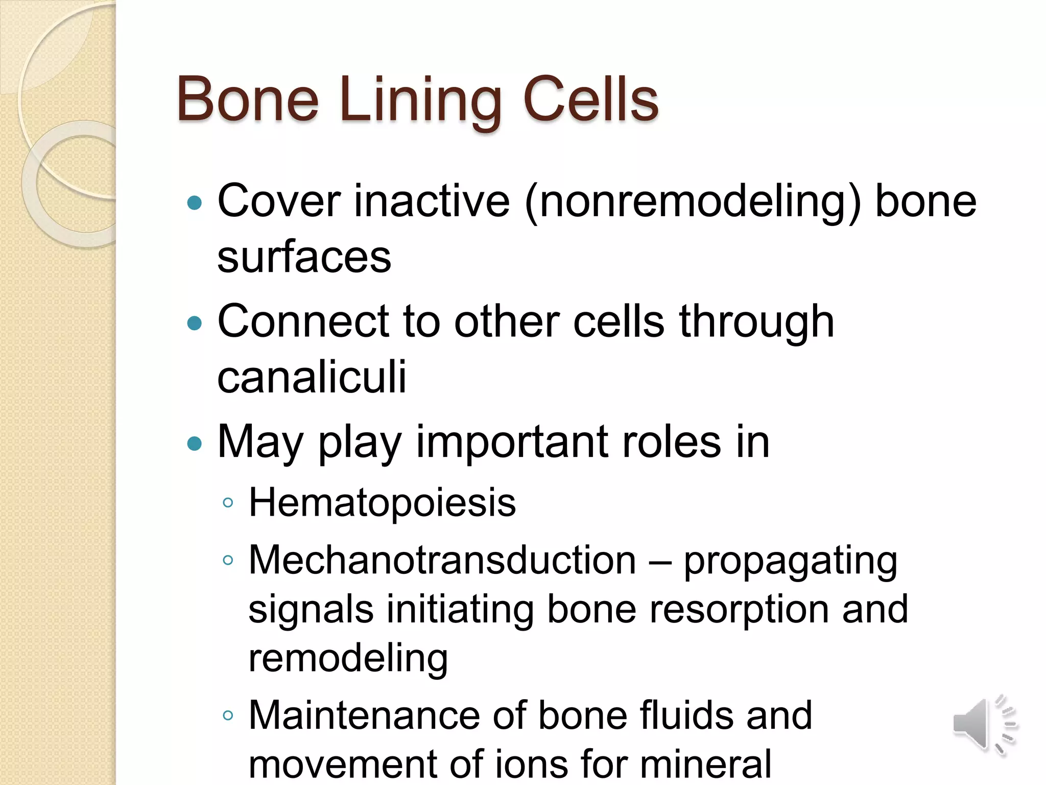 Bone Lining Cells
 Cover inactive (nonremodeling) bone
surfaces
 Connect to other cells through
canaliculi
 May play important roles in
◦ Hematopoiesis
◦ Mechanotransduction – propagating
signals initiating bone resorption and
remodeling
◦ Maintenance of bone fluids and
movement of ions for mineral
 