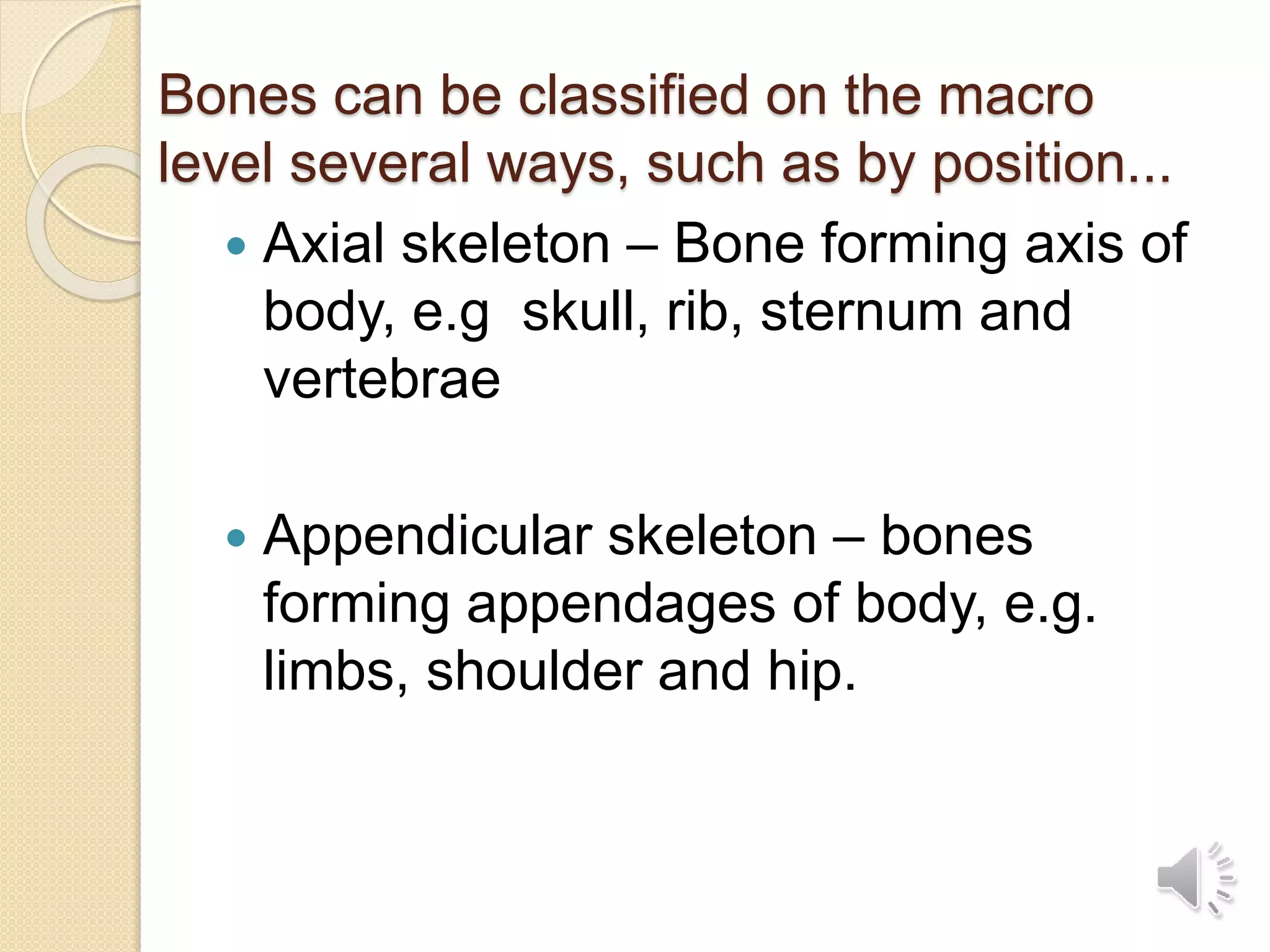 Bones can be classified on the macro
level several ways, such as by position...
 Axial skeleton – Bone forming axis of
body, e.g skull, rib, sternum and
vertebrae
 Appendicular skeleton – bones
forming appendages of body, e.g.
limbs, shoulder and hip.
 
