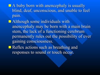 Brainless Child Brain Development | PPT