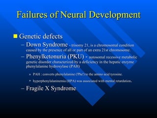 Failures of Neural Development <ul><li>Genetic defects </li></ul><ul><ul><li>Down Syndrome  - trisomy 21, is a chromosomal...