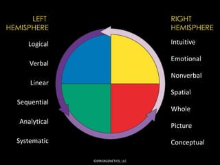 LEFT                           RIGHT
HEMISPHERE                           HEMISPHERE

      Logical                        Intuitive

                                     Emotional
      Verbal
                                     Nonverbal
      Linear
                                     Spatial
  Sequential
                                     Whole
   Analytical
                                     Picture

  Systematic                         Conceptual

                ©EMERGENETICS, LLC
 