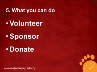 5. What you can do

• Volunteer
• Sponsor
• Donate
 