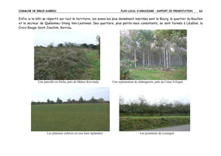 COMMUNE DE ERGUE-GABERIC

PLAN LOCAL D’URBANISME – RAPPORT DE PRESENTATION

62

Enfin, si le bâti se répartit sur tout le territoire, les zones les plus densément habitées sont le Bourg, le quartier du Rouillen
et le secteur de Quélennec-Stang Ven-Lestonan. Des quartiers, plus petits mais consistants, se sont formés à Lézébel, la
Croix-Rouge-Saint Joachim, Kerriou.

Une parcelle en friche, près de Ménez Kervéady

Les plateaux cultivés (et une haie replantée)

Une replantation de châtaigniers, près de Créac’h Ergué

Les pommiers de Lezergué

 